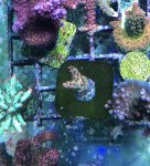 F7179069-1DAC-4F3A-B0D8-A07DA7B03DCF.jpeg