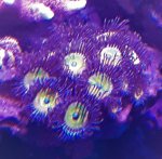 20200709_150244.jpg