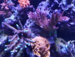 20200731_170443.jpg 20200731_170443.jpg