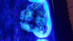 20201016_204939.jpg