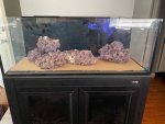 30L 2.jpg