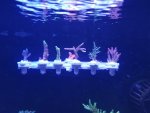 20201218_172230.jpg