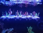 20210514_144043.jpg 20210514_144043.jpg