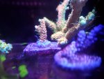 20210721_201057.jpg