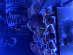 D16CAA3C-B288-4592-B32C-38118B4EC47F.jpeg