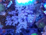 20211114_125254.jpg