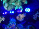 20220129_211430.jpg