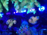 20220129_211449.jpg