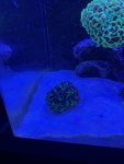 thumbnail_IMG_0660.jpg