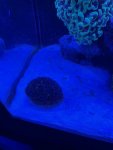 thumbnail_IMG_0688.jpg