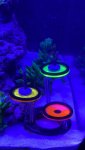 thumbnail_IMG_0717.jpg thumbnail_IMG_0717.jpg