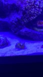 thumbnail_IMG_0718.jpg thumbnail_IMG_0718.jpg