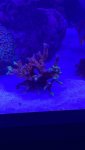thumbnail_IMG_0719.jpg thumbnail_IMG_0719.jpg