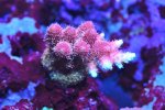 DSC_8023.JPG