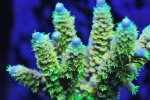 DSC_8074.JPG