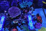 DSC_8078.JPG