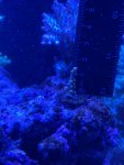 thumbnail_IMG_0839.jpg