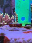 D72B6DEB-B968-411A-96E4-E09A5AE9125D.jpeg