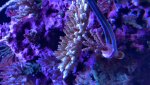 IMG_3874.JPG