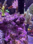 thumbnail_IMG_0883.jpg