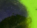DBDD9826-03F6-4057-90D8-97825465DA04.jpeg