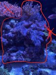 IMG_2888.jpeg