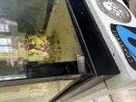 IMG_1362.jpeg