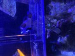 IMG_8122.jpeg