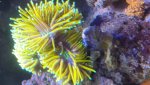 20230714_105651.jpg 20230714_105651.jpg