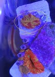20230910_105123.jpg
