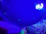 IMG_2791.jpeg