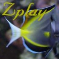 zplay