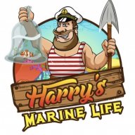 Harrys Marine Life