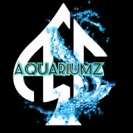 Ace Aquariumz