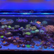 562_Reefer