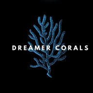 Anhdreamer