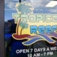 Tropical Reef Fish Store