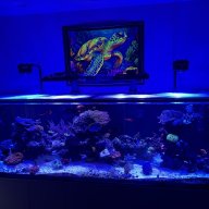 Justkeepswimming