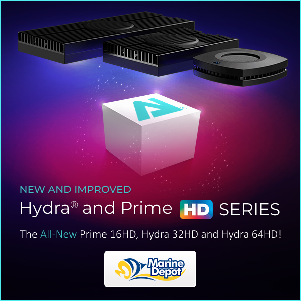 new-ai-prime-and-hydra-hd-social.jpg