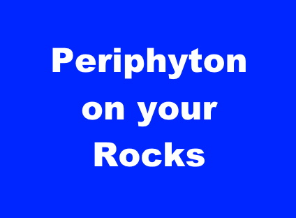 periphyton on your rocks.jpg