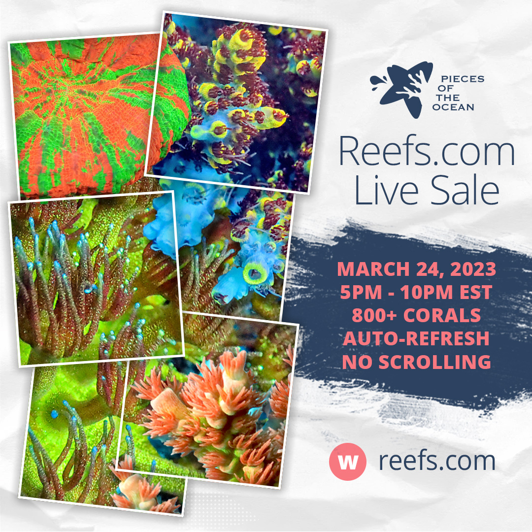reefscom-livesale-03242023.jpg