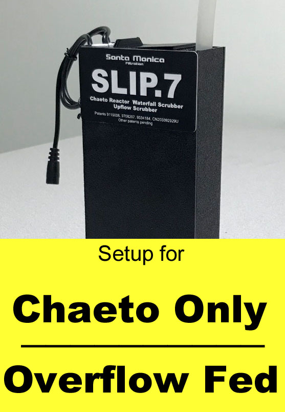 slip.7 setup vid thumb - chaeto only overflow fed.JPG