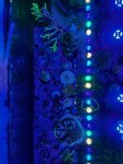 IMG_4902.jpeg