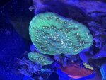 IMG_1437.jpeg