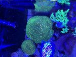 IMG_1438.jpeg