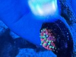 IMG_2246.jpeg