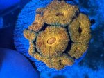 IMG_2264.jpeg