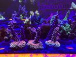IMG_4033.jpeg