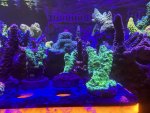 IMG_4032.jpeg