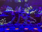IMG_4034.jpeg